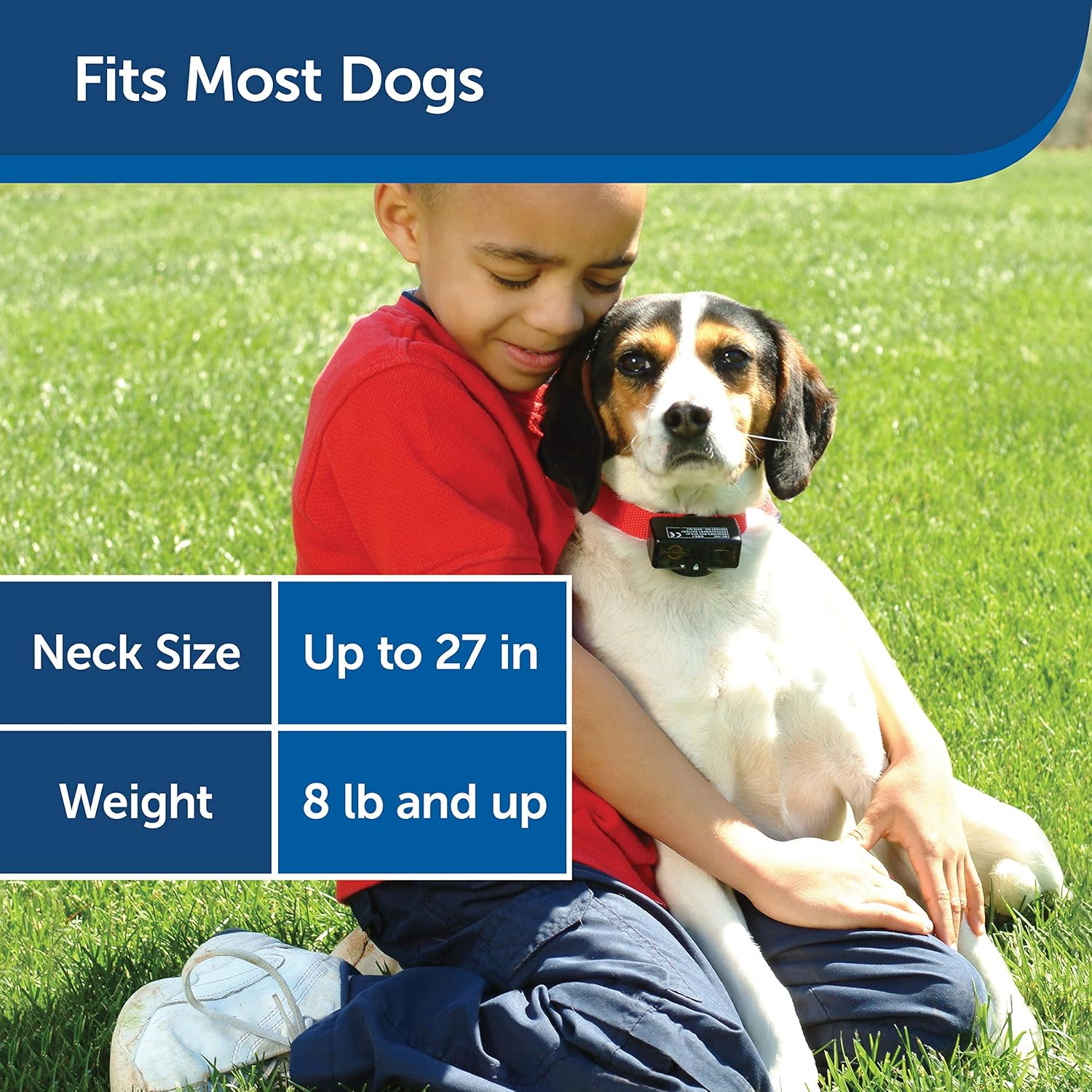 PetSafe Basic Bark Control Collar for Dogs 8 lb. and Up, Anti-Bark Training Device, Waterproof, Static Correction, Canine : Barking Deterrent Collars : Pet Supplies