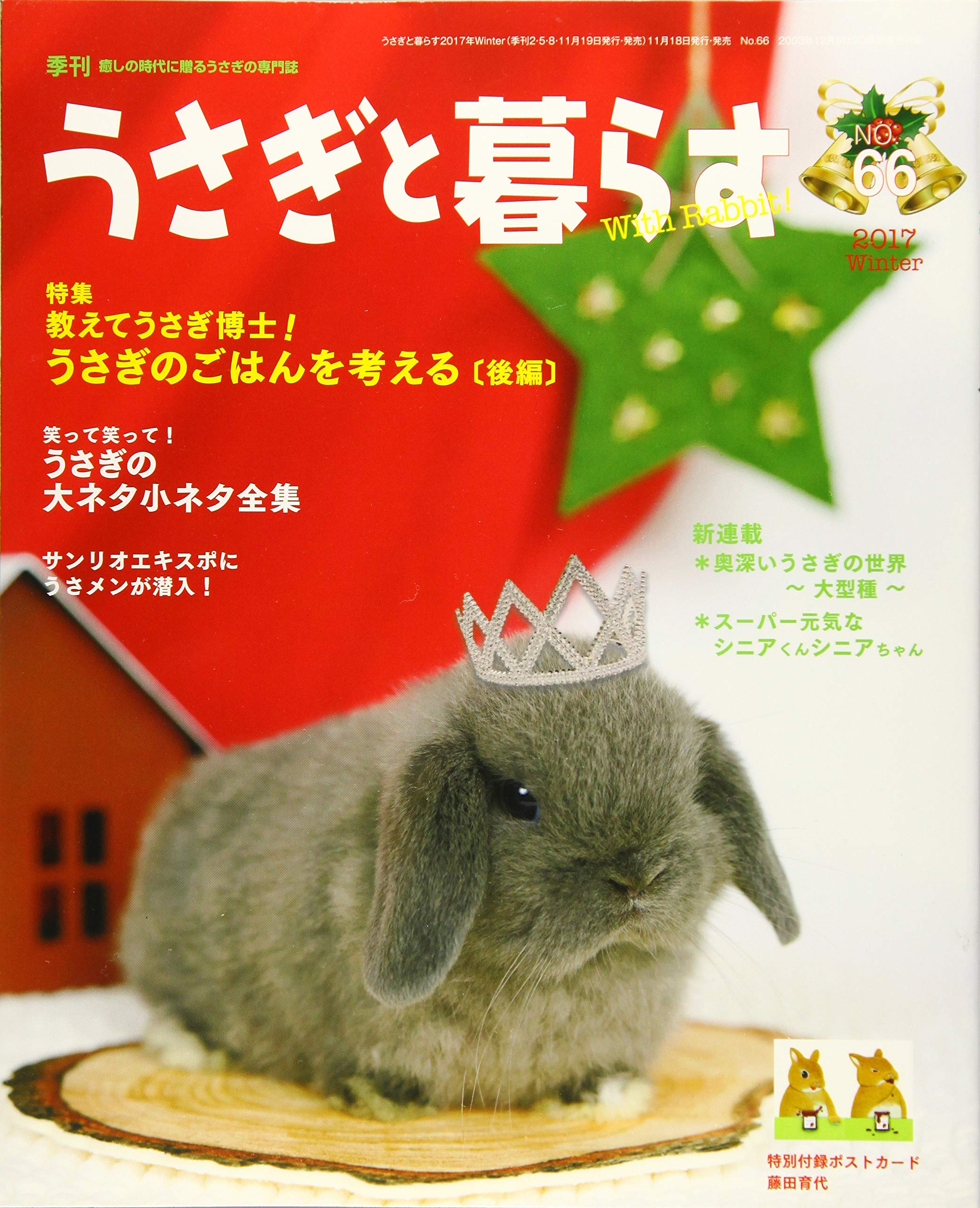 うさぎと暮らす 08年 01月号 雑誌 Amazon Com Books