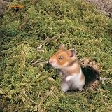 Niteangel 5L Forest Moss Bedding Nesting for Small Animals Hamsters Gerbils view 3