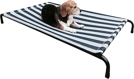 elevated dog bed amazon