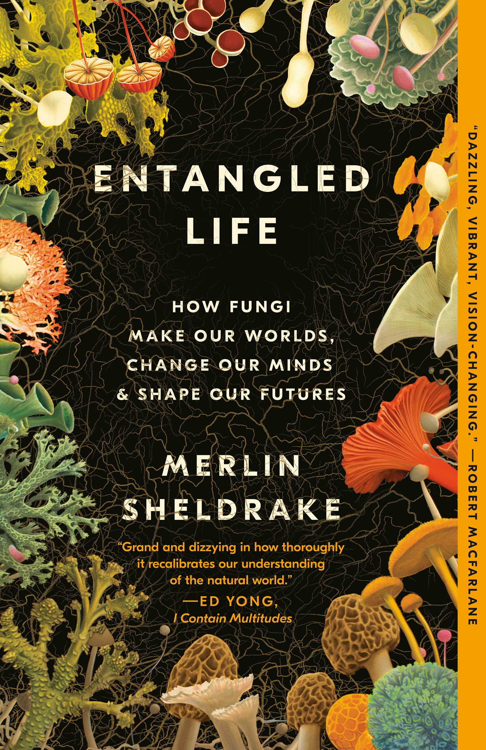 Entangled Life How Fungi Make Our Worlds Change Our Minds Shape Our Futures Sheldrake Merlin Amazon Com Books