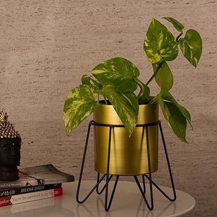 TIED RIBBONS Metal Planter with Stand, Multicolour, Standard