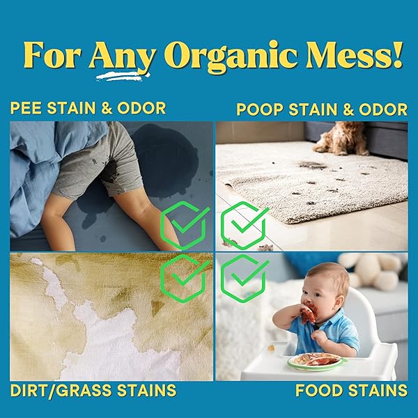 GOOD LIFE SOLUTIONS NATURAL ODOR AND STAIN REMOVER SPRAY – UNSCENTED PLANT-BASED CHILD & PET SAFE CLEANER EARTH-FRIENDLY ODOR ELIMINATOR ECO CLEANING PRODUCTS FOR HOME, CARPET (1 PACK, 1 GALLON)