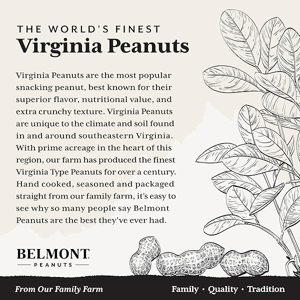 BELMONT CASHEWS JUMBO SALTED WHOLE CASHEWS, 10 OZ, CLASSIC COLLECTION