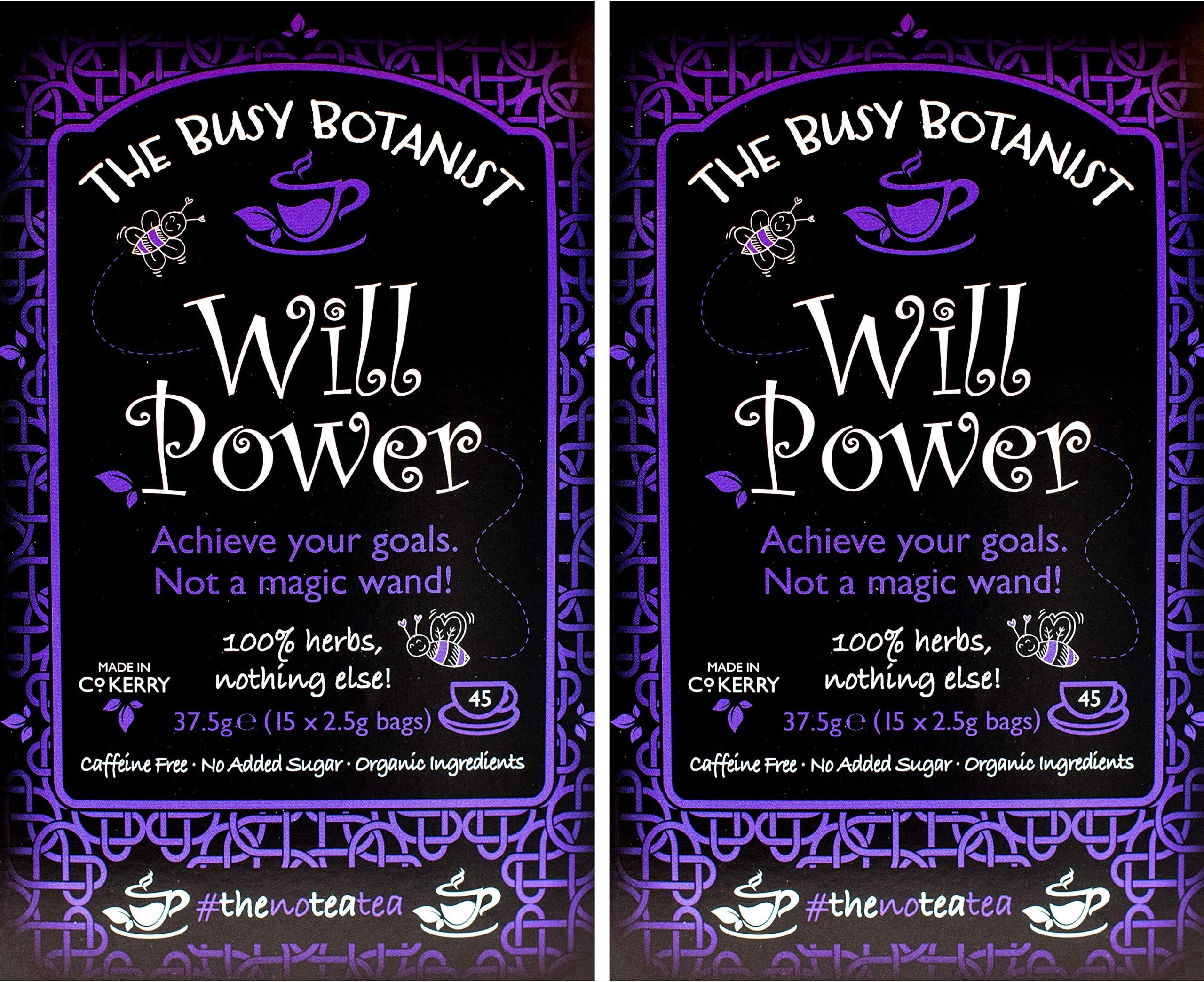 Will Power Herbal Tea Bags - Cinnamon Tea with Ginger & Fenugreek Leaves - Blood Sugar Regulator & Energy Booster - Caffeine Free, Decaffeinated - 2 x 15 Loose Leaf Tea Bags by The Busy Botanist
