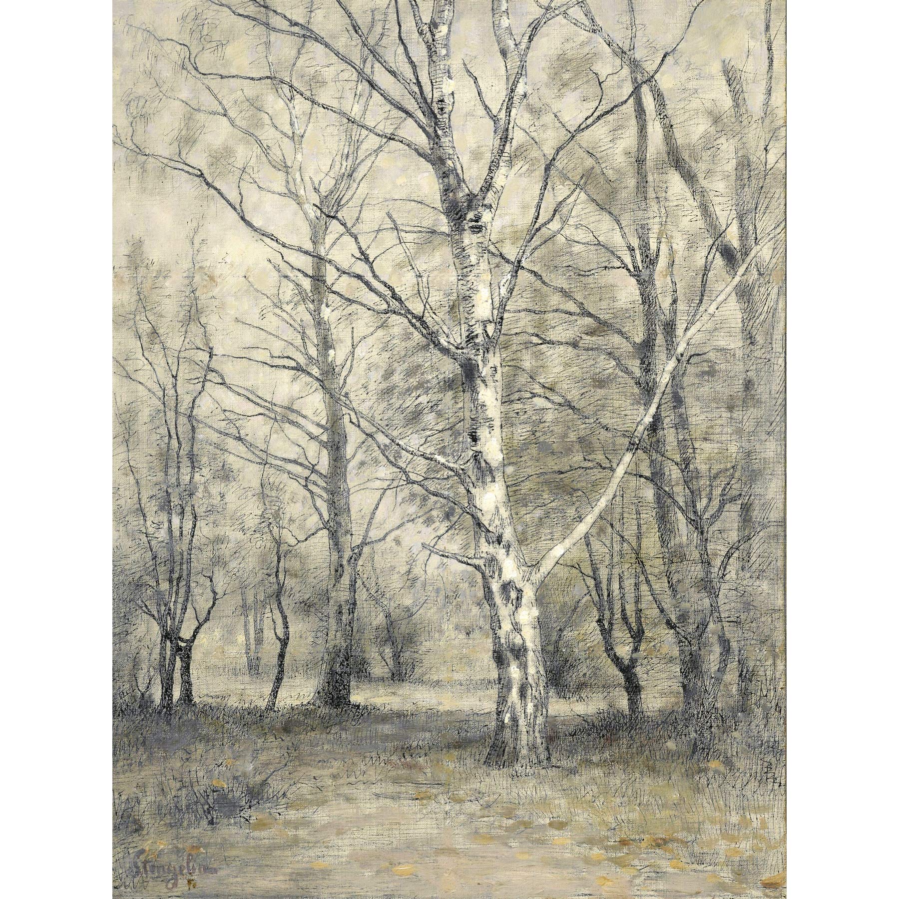 Artery8 Stengelin Forest With Birch Trees Painting Premium Wall Art Canvas Print 18X24 Inch