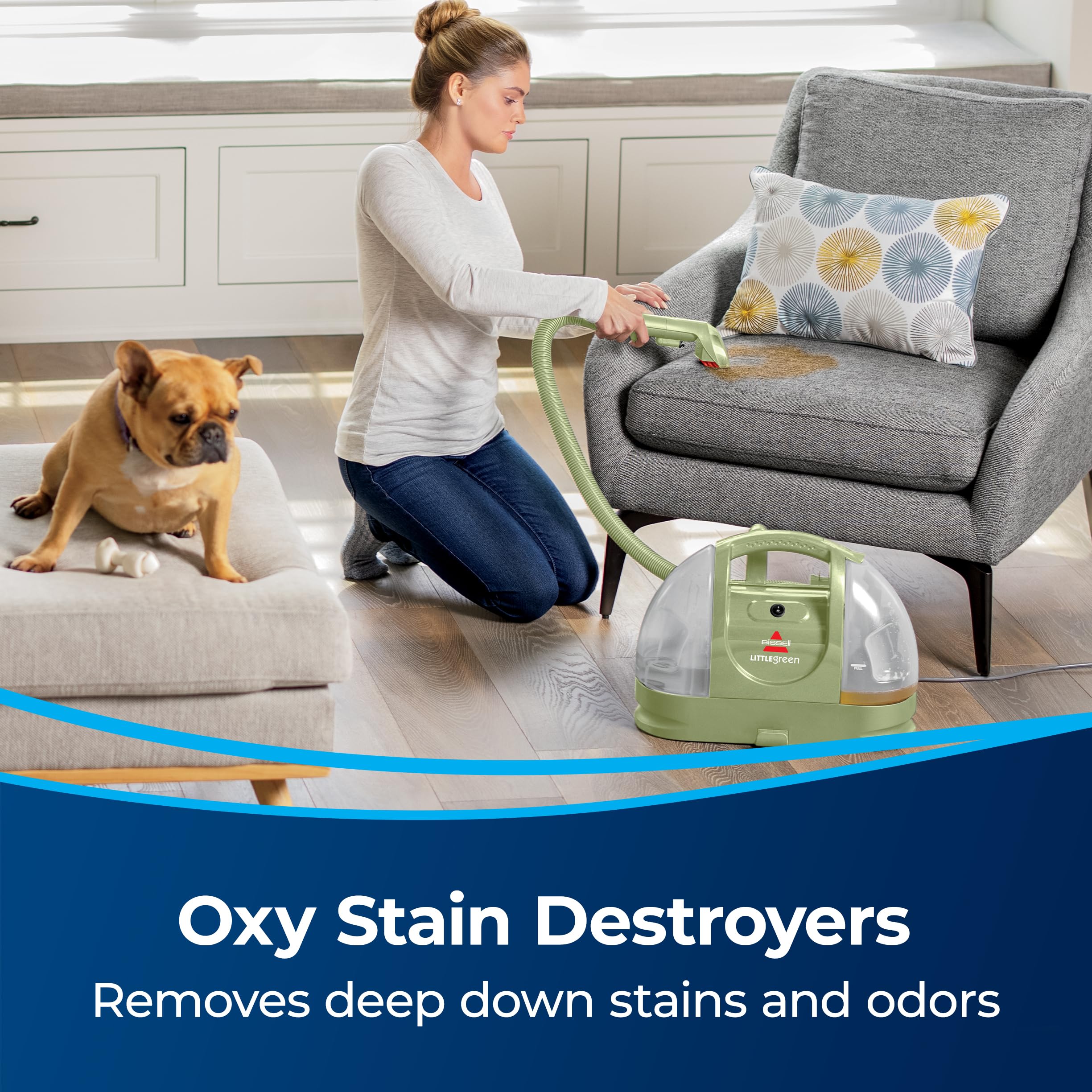 Bissell Little Green Spot & Stain Formula for Portable Carpet Cleaners, 2038G