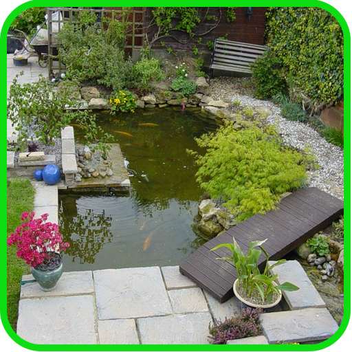 DIY Pond Building