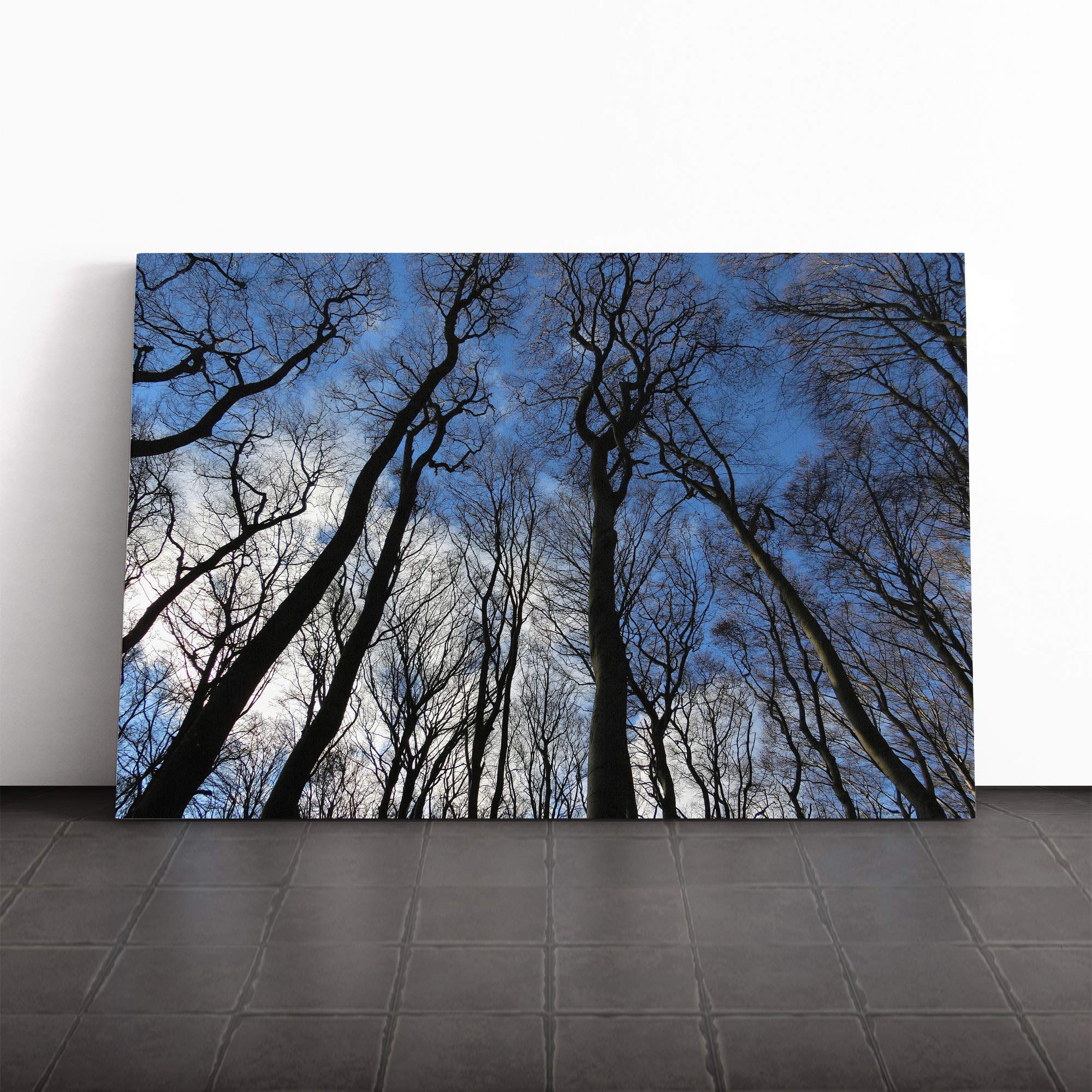Beautiful Forest Woodland (5) Canvas Print | Gallery Wrapped 30mm Frame Wall Art | 20x14 inches | Ready to Hang | Modern Landscape Picture | Living Room Bedroom Lounge Office