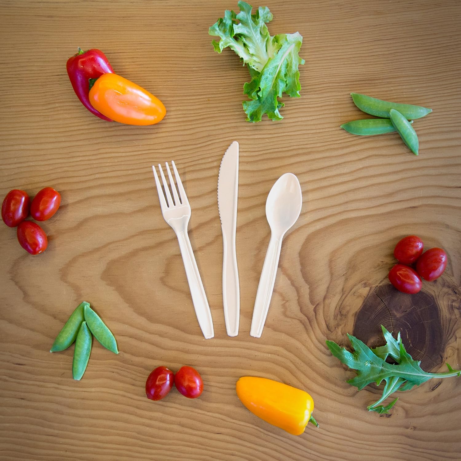Transitions2earth Biodegradable EcoPure Spoons - Box of 500 - Plant a Tree with Each Item Purchased!: Kitchen & Dining