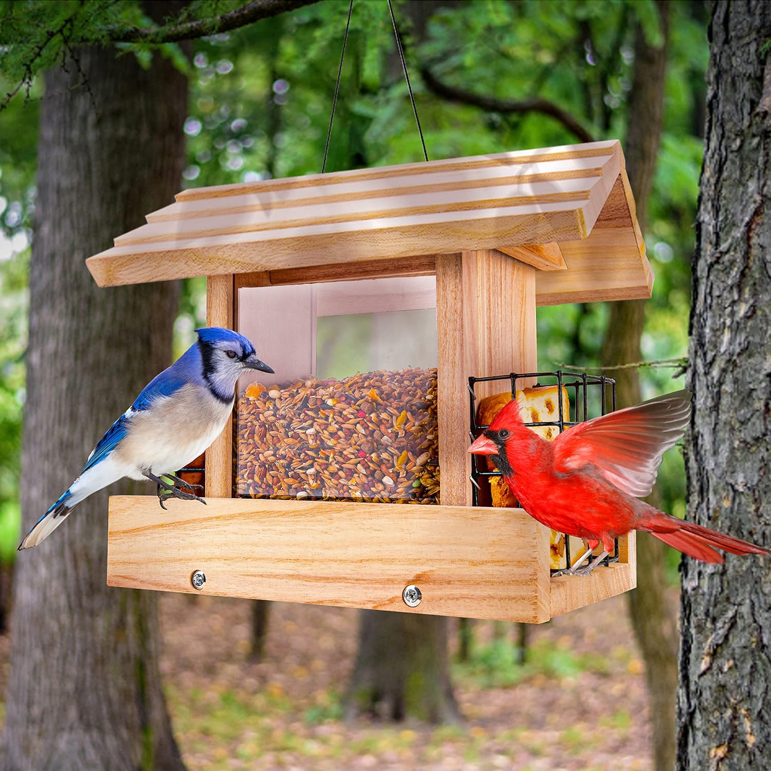 Backyard Birding & Wildlife - Bird Feeders for Outdoors Hanging - Wooden Bird Feeder Hopper, Cardinal Bird House Feeder, Large Bird Feeder with Suet Holder for Outside, Wild, Outdoors Hanging Pole