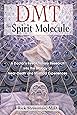 DMT: The Spirit Molecule: A Doctor's Revolutionary Research into the Biology of Near-Death and Mystical Experiences