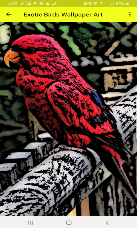 Exotic Birds Wallpaper Art (HD)