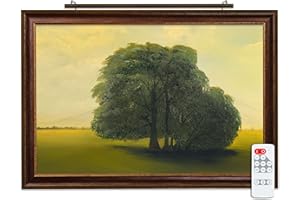 SITU ART LIGHTING Situ Lighting: Plug-in Vision Series Remote Controlled LED Art and Picture Light - USA Made - 3000K