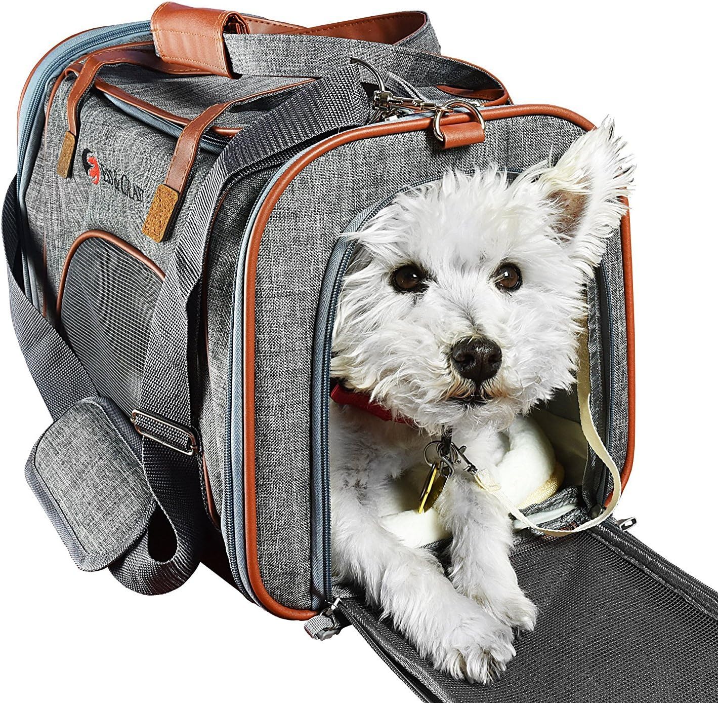 E Ess & Craft Soft Cat Carrier, Front Loading Airline Approved Pet Carrier with Sturdy Bottom & Soft Fleece Bedding, Ventilated Travel Carrier with Faux Leather Top Handle and Zipper Locks : Pet Supplies