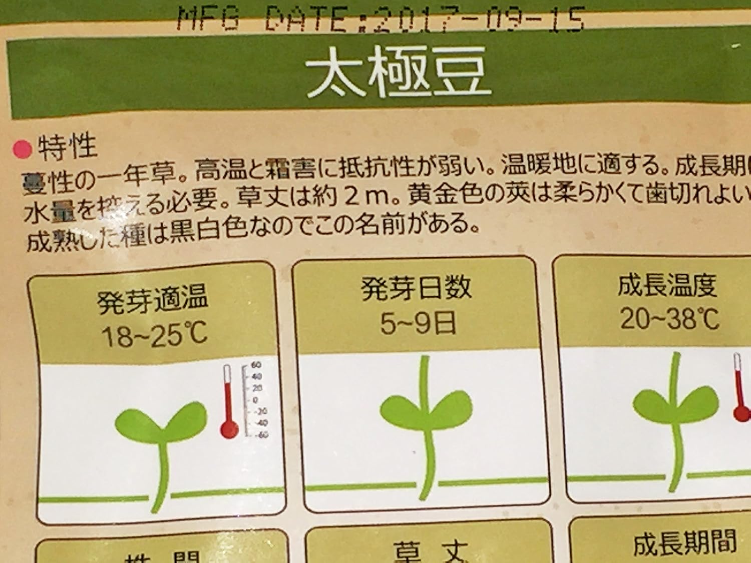 Amazon 珍種子 黄色インゲン豆 白黒種 15粒入 野菜