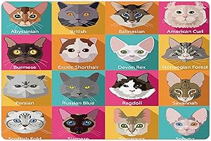 Lunarable Cat Lover Pet Mat for Food and Water, Popular Breeds Abyssinian American Burmese Sphynx Norwegian Forest Scottish Fold, Rectangle Non-Slip Rubber Mat for Dogs and Cats, Multicolor