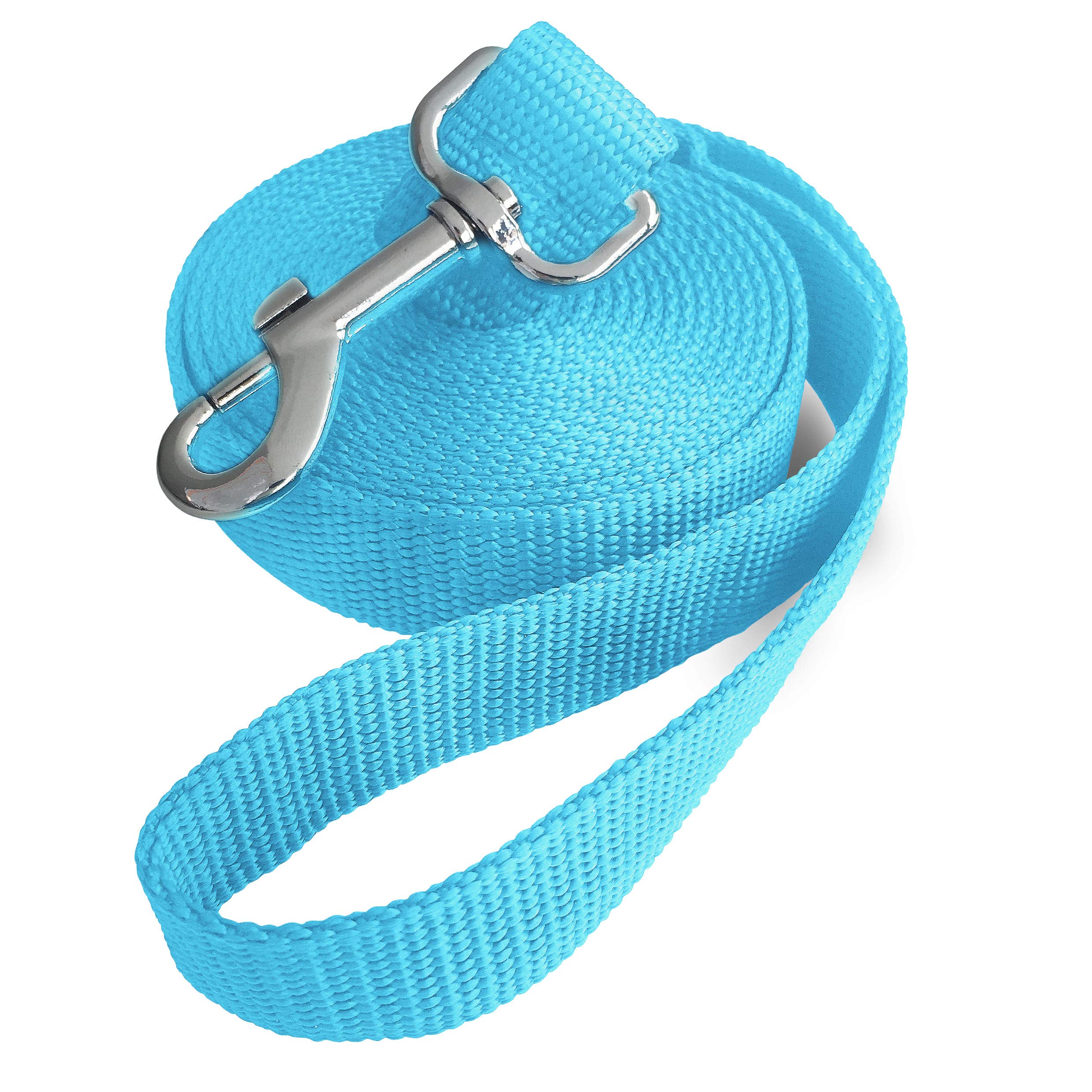 Jackpet 6ft 10ft 30ft Black Long Line Training Dog Leash,for Large,Medium and Small Dogs,Long Dog Lead,for Training,Backyard,Camping,or Play,Great for Parks and Fetch (10FT, Mint Blue)