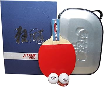 dhs hurricane 2 paddle