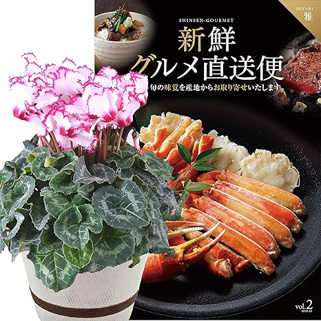 Amazon カタログギフト 新鮮グルメ直送便 雅 シクラメン ビクトリア 鉢植え 花 プレゼント 5号鉢 観葉植物 オンライン通販