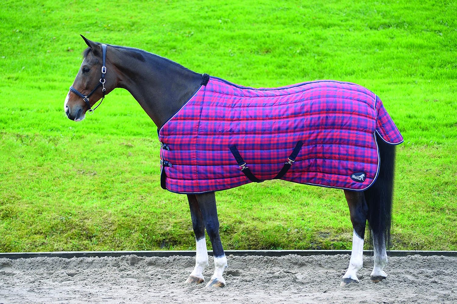 Masta Unisex's TRMAS3609 Quilt Standard Neck Stable Rug, Blue, 5 ft/6