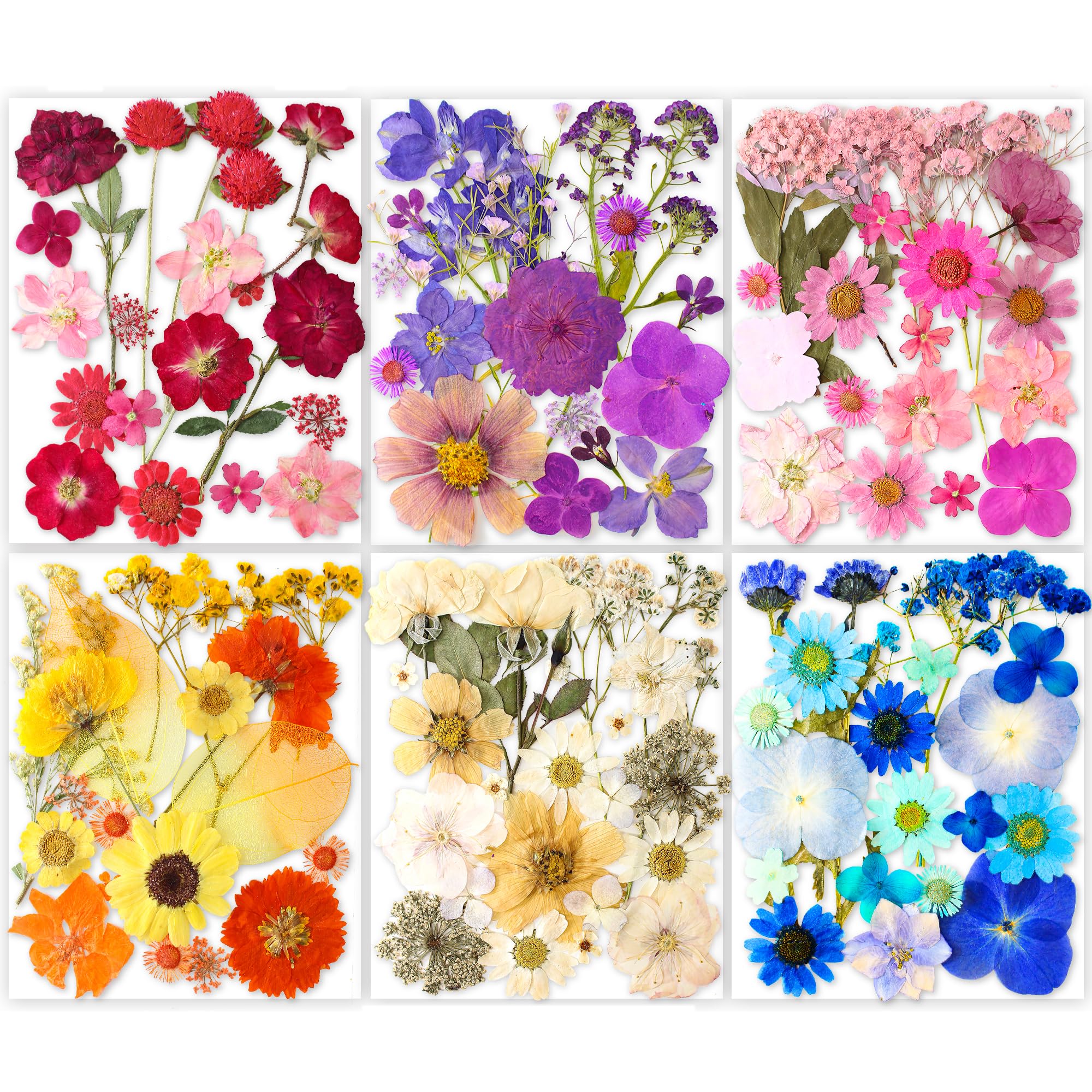 Photo 1 of ***MISSING PIECES*** 221PCS Real Nature Dried Pressed Flowers for Resin Craft, Dry Pressing Floral with Butterfly Transparent Stickers Set for DIY Jewelry Making Nail Card Scrapbook Art Eternity Summer