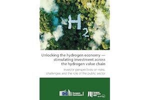 Unlocking the hydrogen economy — stimulating investment across the hydrogen value chain: Investor perspectives on risks, chal