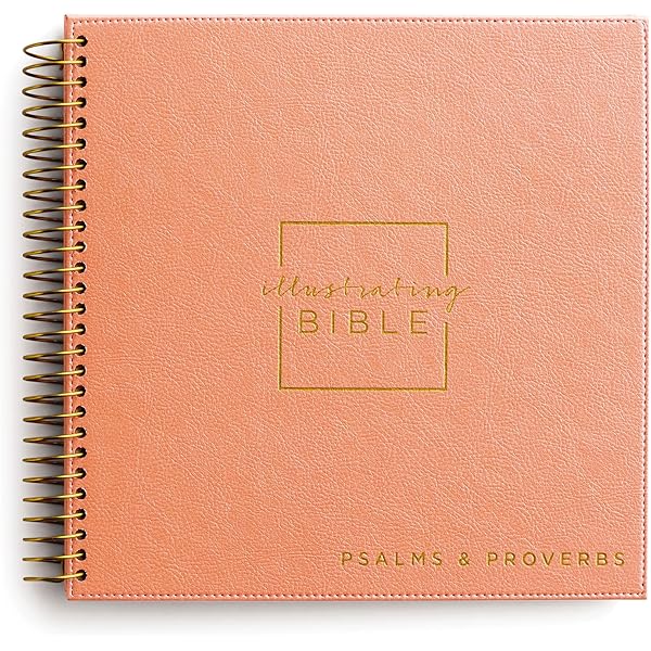 NIV, Spiral-bound Illustrating Bible: Genesis – Deuteronomy