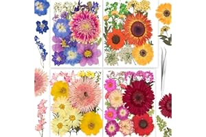 YOUTHBRO 122PCS Large Nature Dried Pressed Flowers for Resin Mold, Real Dry Pressing Floral with Butterfly Transparent Stickers Set for DIY Jewelry Making Nail Card Scrapbook Art Craft Love Parade