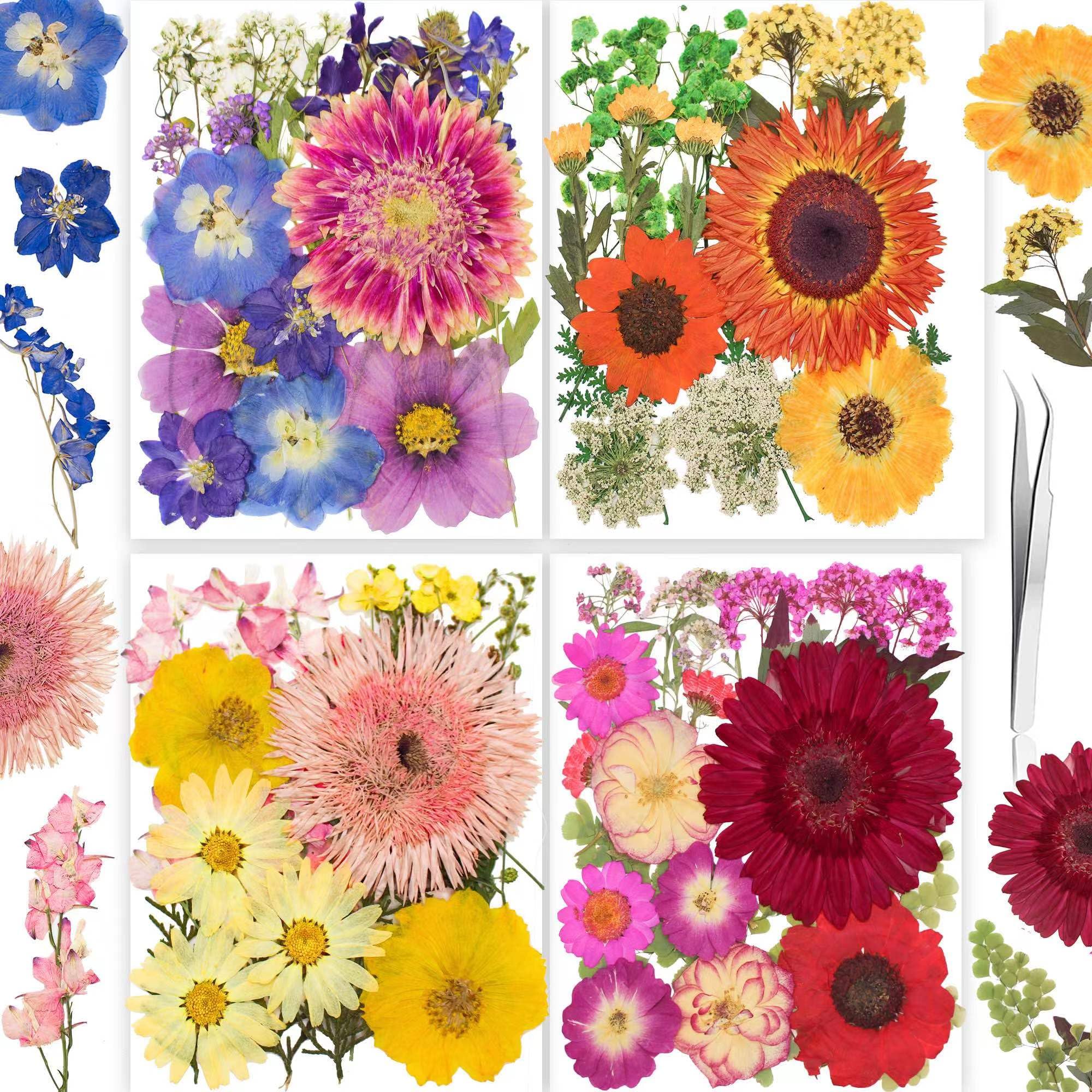 YoothBro 111PCS Real Nature Dried Pressed Flowers for Resin Mold, Dry Pressing Floral with Butterfly Transparent Stickers Set for DIY Jewelry Making Nail Card Scrapbook Art Craft Love Parade