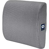 Sealy Ergonomic Lumbar Support Pillow for Office Chair and Car Seat - Memory Foam Back Support Lumbar Pillow, Premium Cushion Chair Support for Lower Back Pain Relief and Versatile Use (Gray)