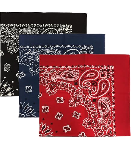 Amazon.com: Colter Co. 4pk Paisley Bandana - USA Made Classic