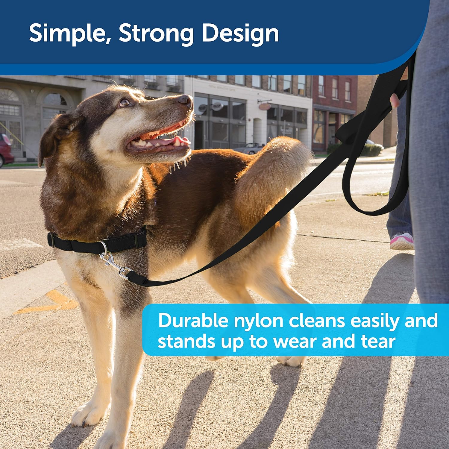 PetSafe Nylon Leash, 3/8" x 6', Black - LSH-3/8-X-6-BLK : Pet Leashes : Pet Supplies
