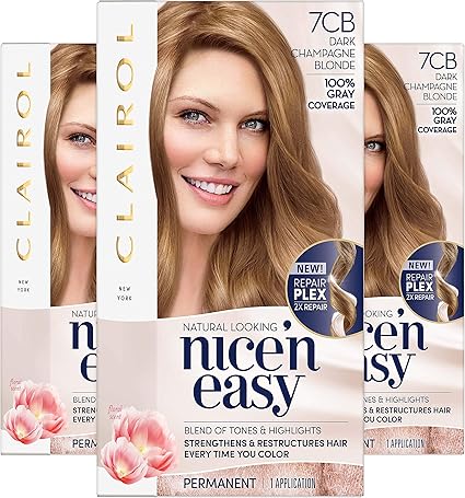 Clairol Nice N Easy Hair Color 106b Natural Dark Champagne Blonde