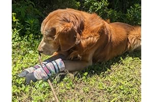 BARK BRITE All Weather Neoprene Paw Protector Dog Boots with Reflective Straps in 5 Sizes! (Multicolor Large)
