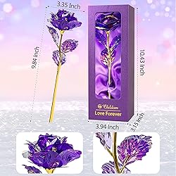 Childom Mothers Day Rose Gifts for Mom,Birthday