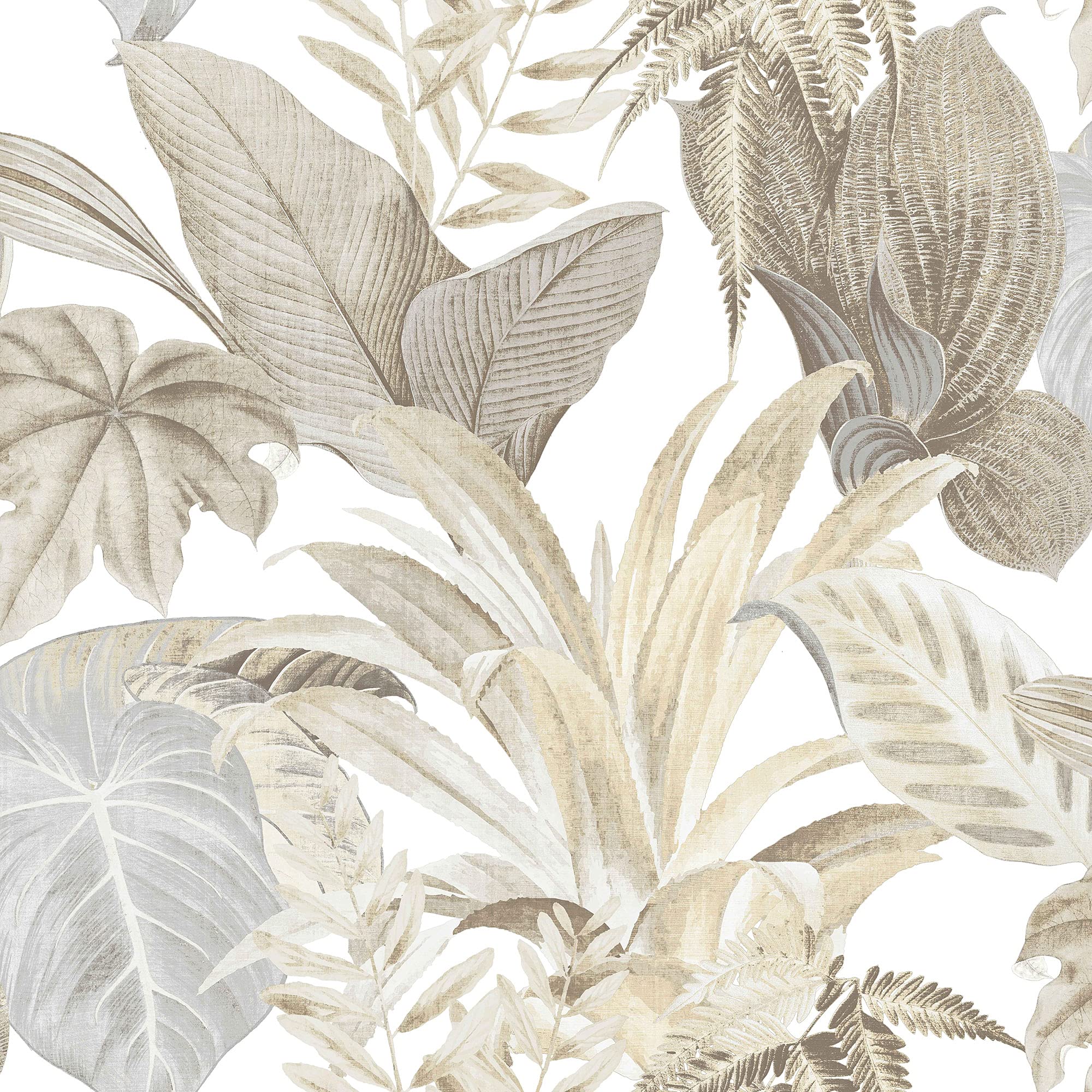 Galerie CM27014 Botanica Bali Foliage Wallpaper, Naturals with Cream Background, 10.05m x 53cm