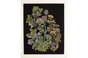 THEA GOUVERNEUR SINCE 1959 Thea Gouverneur - Counted Cross Stitch Kit - Herb Panel - Aida Black - 18 Count - Embroidery Kit for Adults - DMC Embroidery Threads and Other Cross Stitch Supplies Included - 424.05