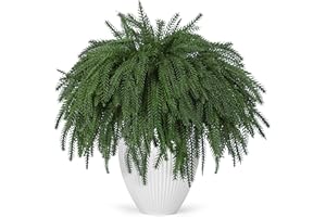 Der Rose 12Pcs Christmas Norfolk Pine Cedar Stems Decorations,Real Touch 18'' Artificial Norfolk Pine Branches Cedar Picks for DIY Crafts Wreath Garland Home Outdoor Christmas Decorations Indoor