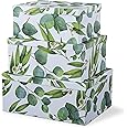Soul & Lane Decorative Cardboard Storage Boxes with Lids for Home Decor and Organization, Set of 3 Large Keepsake Boxes for Memories & Gifts, Nesting Floral Photo Storage Containers, Sprigs Of Green