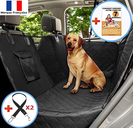 amazon siege auto chien