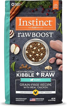 my dog paw print necklace