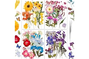 YOUTHBRO 125PCS Real Nature Dried Pressed Flowers for Resin Mold, Dry Pressing Floral with Butterfly Transparent Stickers Set for DIY Jewelry Making Nail Card Scrapbook Art Craft Decors Romantic Road