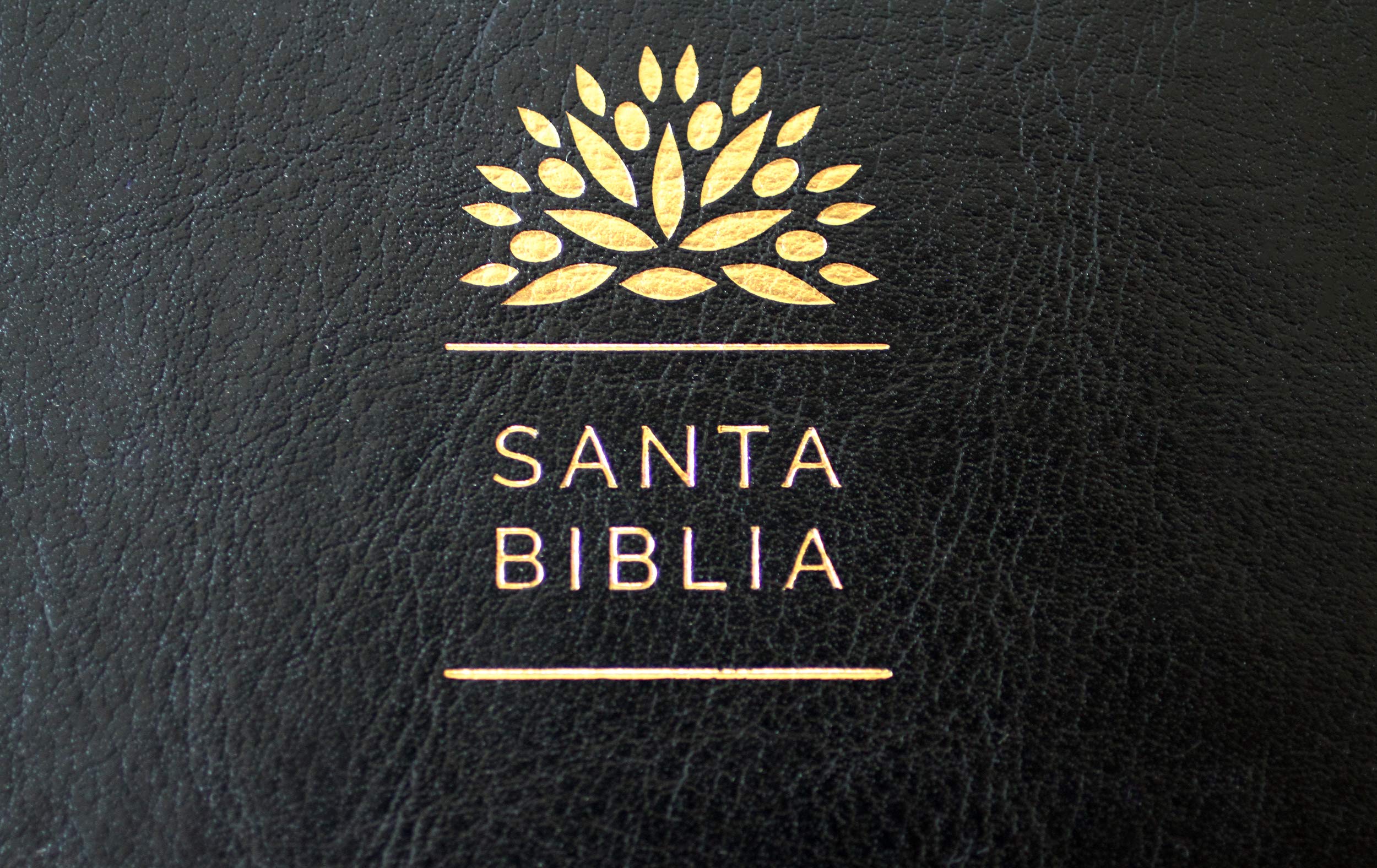 Biblia Reina Valera 1960 letra grande. Símil piel negra, cremallera, tamaño manual / Holy Bible RVR 1960. Handy Size, Large Print, Leathersoft, Zipp (Spanish Edition) Biblia Reina Valera 1960 letra grande. Símil piel negra, cremallera, tamaño manual / Holy Bible RVR 1960. Handy Size, Large Print, Leathersoft, Zipp (Spanish Edition) Bonded Leather