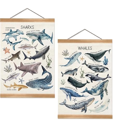 EuroGraphics Dangerous Sharks Poster 36 x 24 inch Beige : Amazon