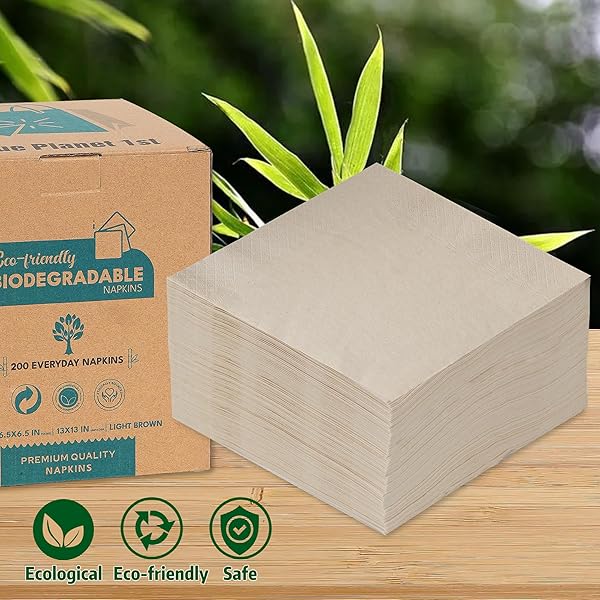 200 PCS STRONG 2 PLY DISPOSABLE NAPKINS WITH 25 PCS FLOSS PICKS – BIODEGRADABLE NAPKINS 6.5 X 6.5 INCHES FOLDED – THIN & EASY TO USE MINT FLAVORED DENTAL FLOSSERS