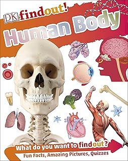 DK Find Out! Human Body