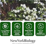 New York Biology Tea Tree Foot Cream 226 g for Dry Feet & Athletes Foot view 6