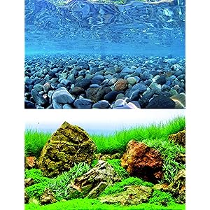 A Aquarium Dzcor Backgrounds A Buying Guide Best Sellers Test And Reviews