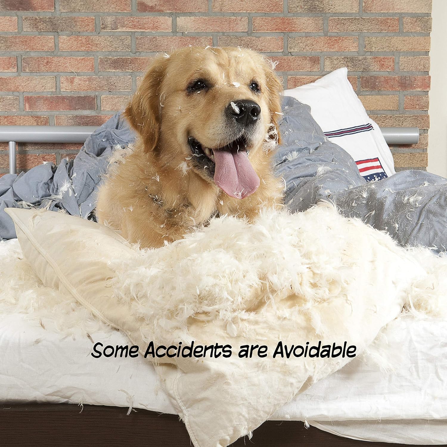 Freestanding Pet Gate 3 Panel Cream : Pet Supplies